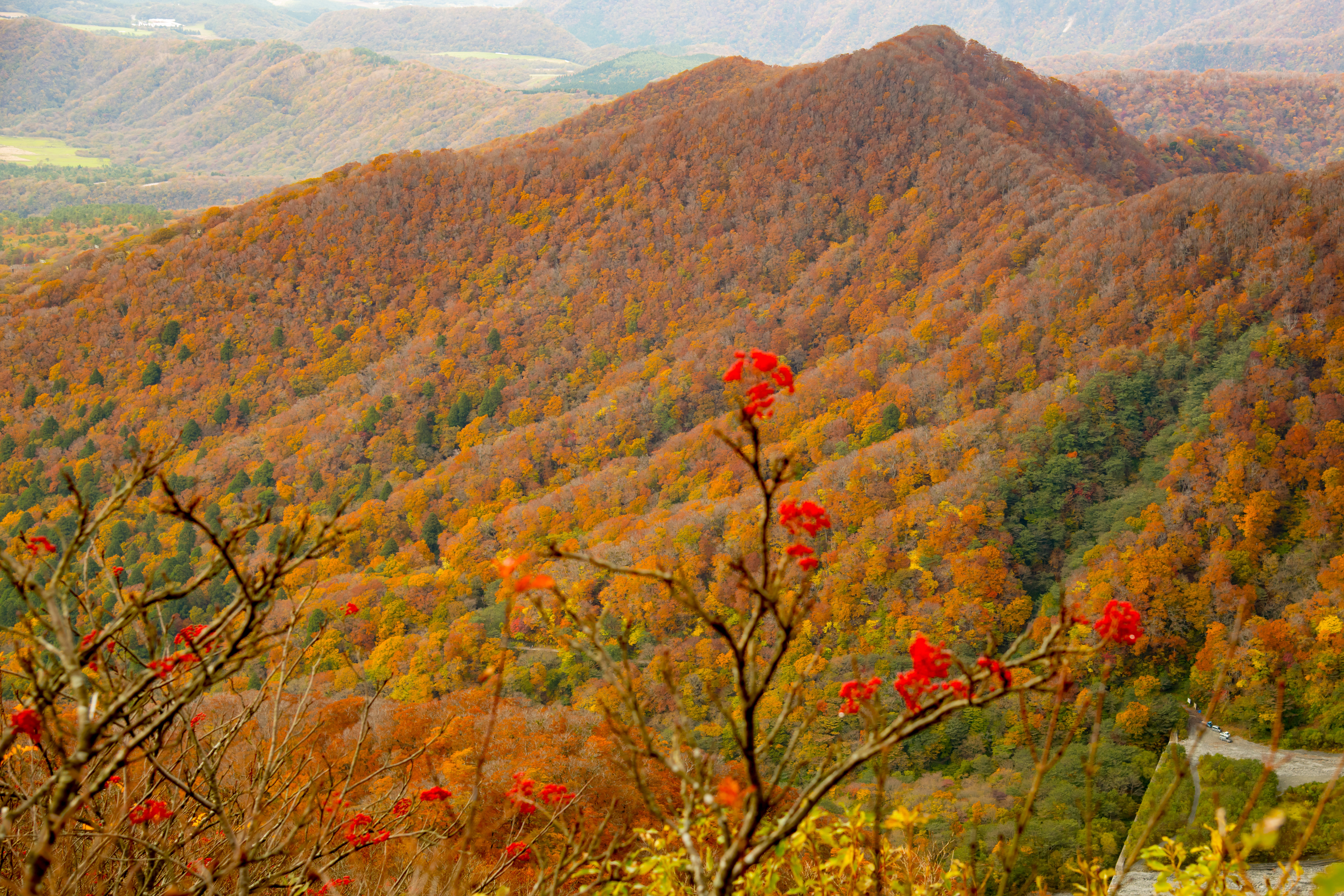 大山山麓(だいせん)(鳥取県)の風景・観光資源