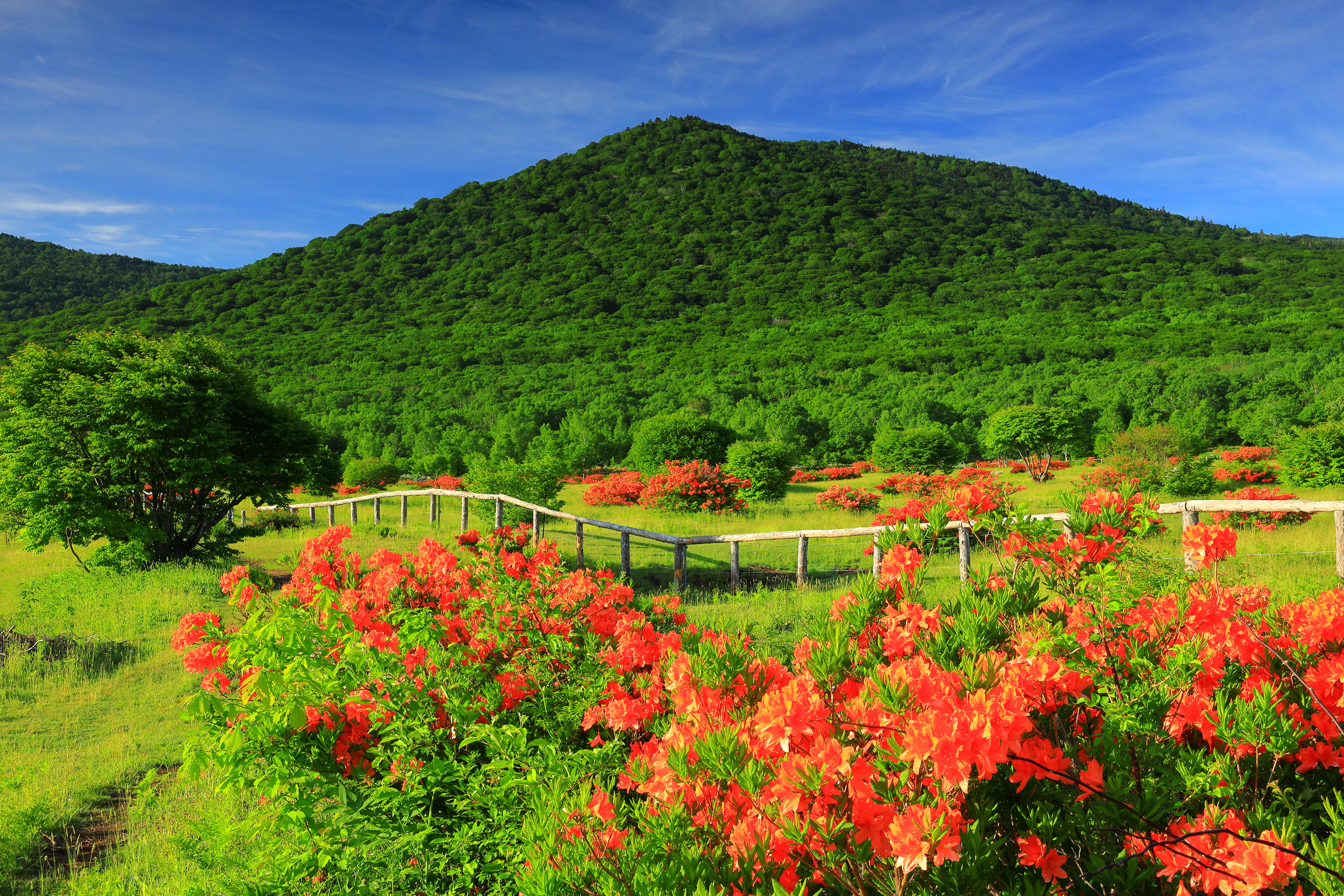 安比高原・八幡平(岩手県)の風景・観光資源