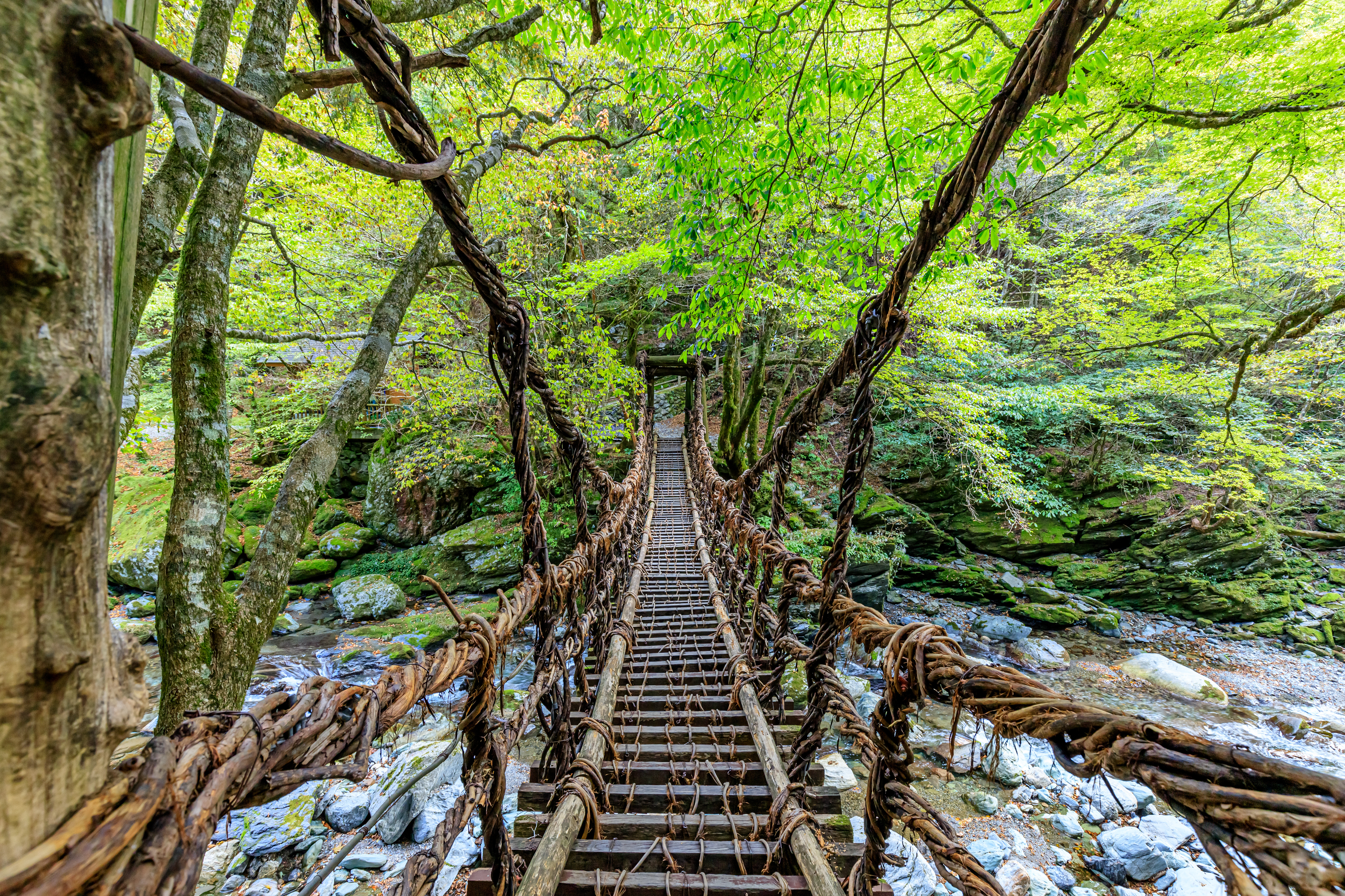 祖谷渓・大歩危(徳島県)の風景・観光資源